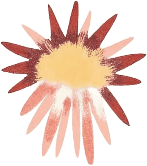 Flower · watercolour