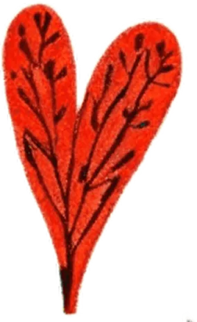 Heart · ink