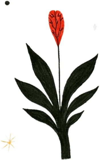 Tulip · ink